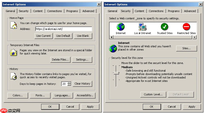 一款超级经典复古的 Windows 9x 主题风格 Avalonia UI 控件库，满满的回忆杀！