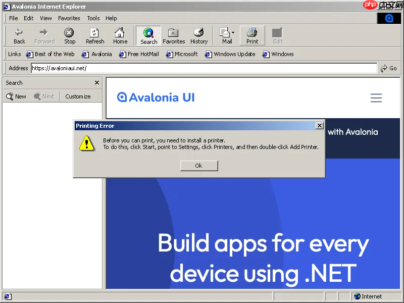 一款超级经典复古的 Windows 9x 主题风格 Avalonia UI 控件库，满满的回忆杀！