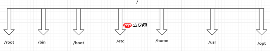Linux基本操作+命令介绍
