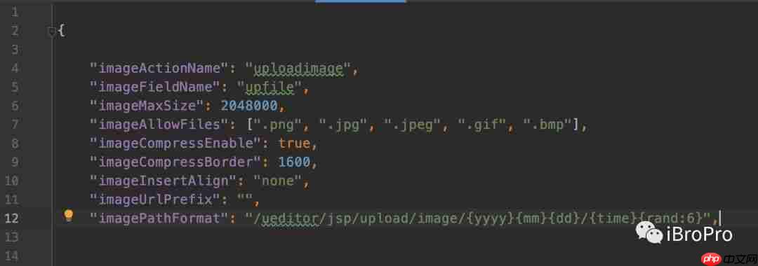 Mac+IDEA+百度富文本UEditor