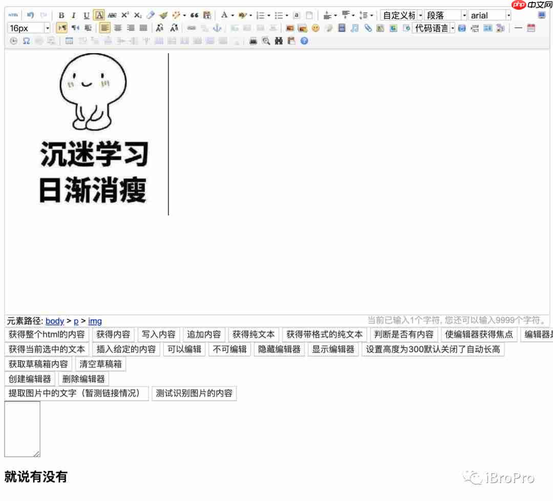 Mac+IDEA+百度富文本UEditor