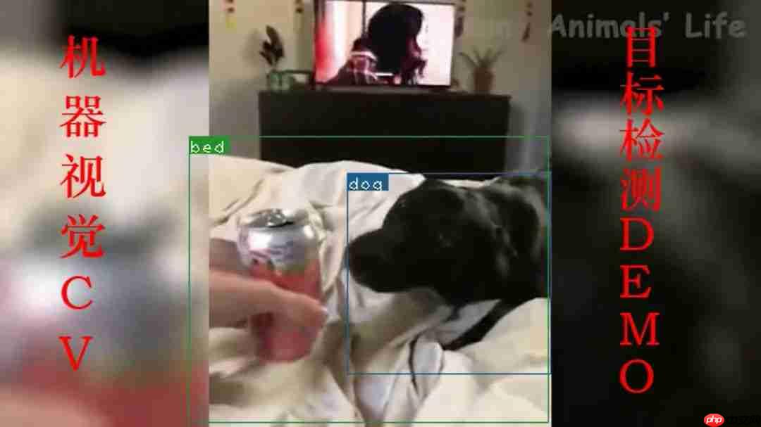 【小技巧】用Python给你的视频添加字幕