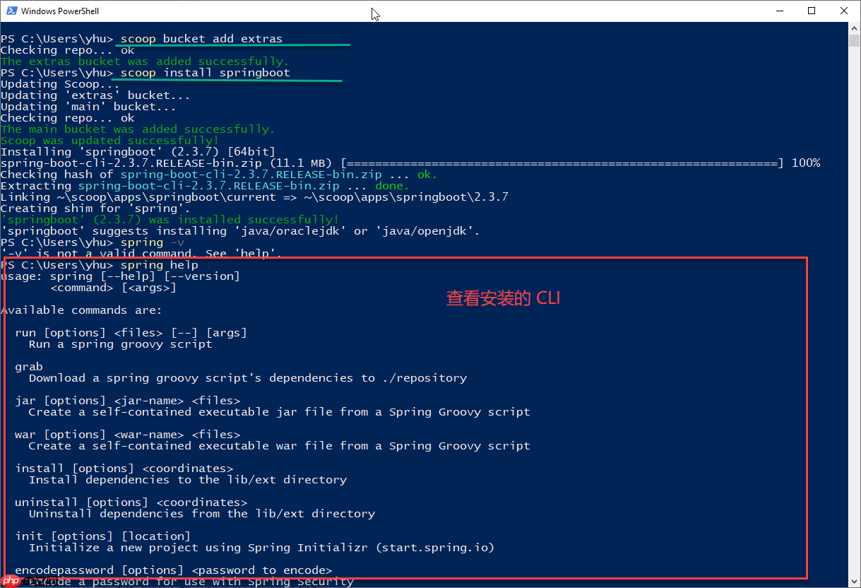 Spring Boot 2.4 Windows Scoop 安装命令行工具