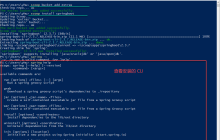 Spring Boot 2.4 Windows Scoop 安装命令行工具