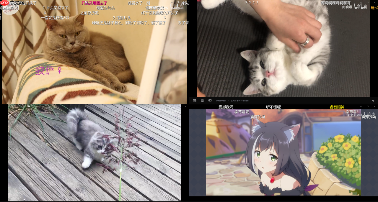 [UWP]推荐一款很Fluent Design的bilibili UWP客户端 ： 哔哩