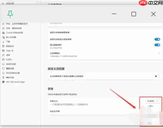 edge怎么设置更改字体大小-edge设置更改字体大小的方法