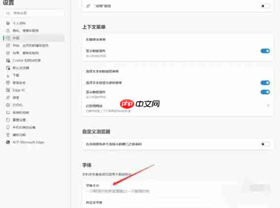 edge怎么设置更改字体大小-edge设置更改字体大小的方法