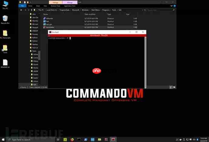 基于Windows的渗透测试虚拟机系统