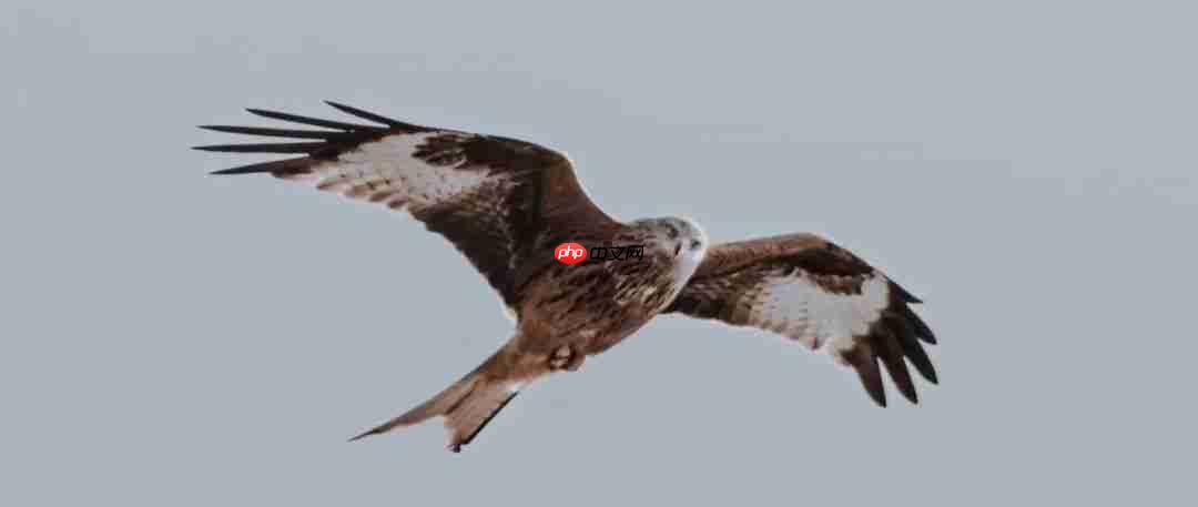 C# 数据操作系列 - 16 SqlSugar 完结篇