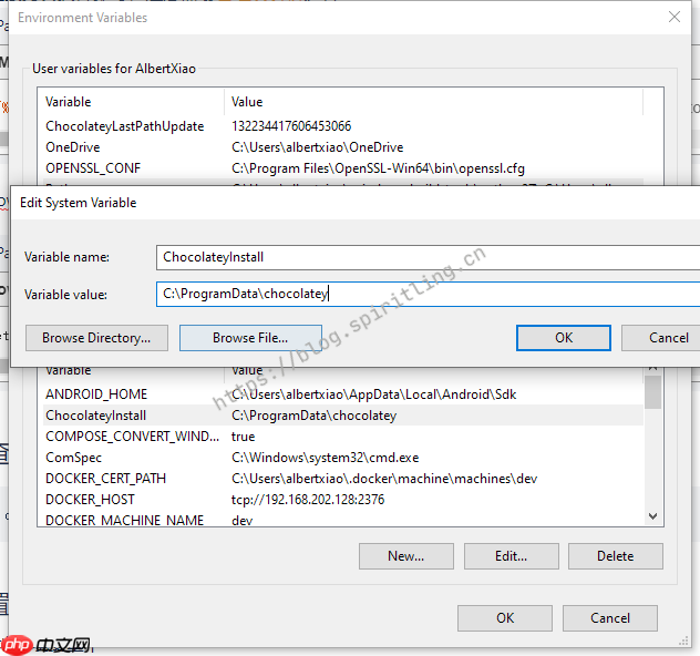 choco 安装 和 mkcert 本地https
