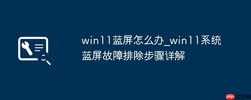 win11蓝屏怎么办_win11系统蓝屏故障排除步骤详解
