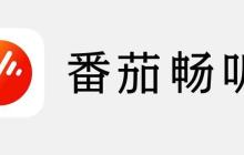 抖音直播间怎么挂番茄畅听APP_抖音直播推广番茄畅听方法