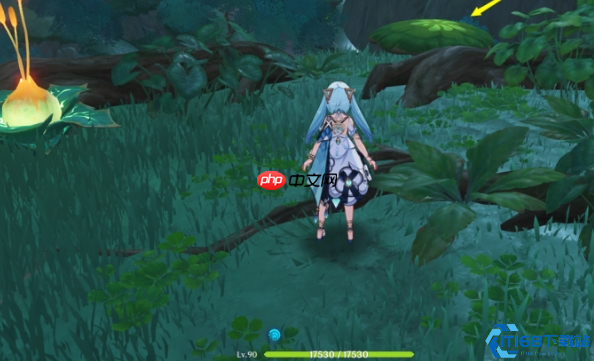 圣体菇保姆级采集路线：须弥全点位地毯式扫荡指南