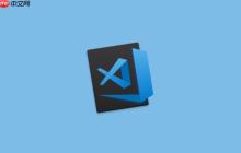 VSCode如何跳過插件啟動(dòng)_VSCode跳過插件快速啟動(dòng)