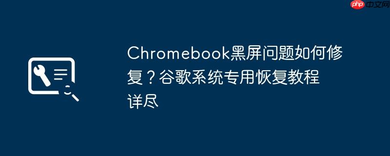 Chromebook黑屏问题如何修复？谷歌系统专用恢复教程详尽