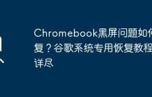 Chromebook黑屏问题如何修复？谷歌系统专用恢复教程详尽