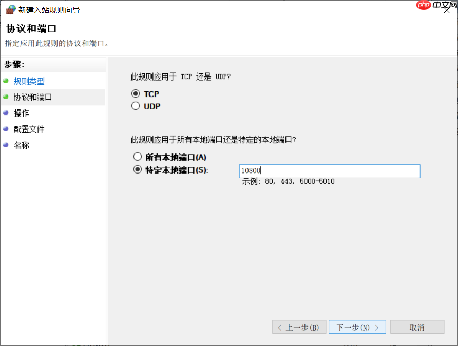 RTSP视频平台EasyNVR如何设置防火墙允许程序运行端口的访问？