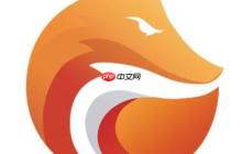 灵狐浏览器安全模式登录入口2025-灵狐浏览器隐私版网页登录地址