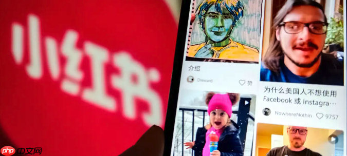 小红书蒲公英入口查找技巧_小红书蒲公英官网访问路径