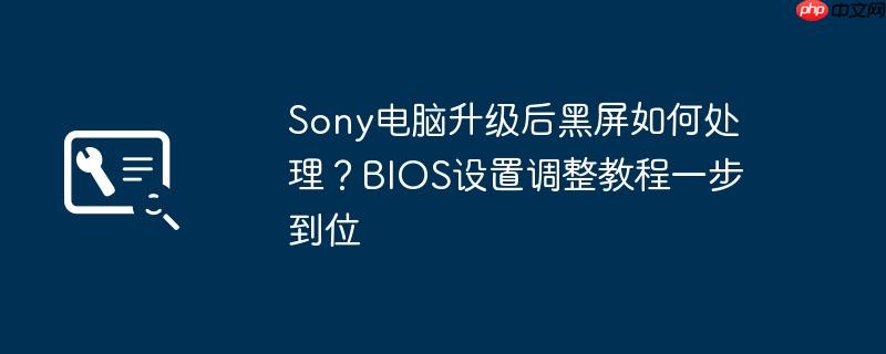 sony电脑升级后黑屏如何处理？bios设置调整教程一步到位