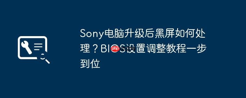 Sony电脑升级后黑屏如何处理？BIOS设置调整教程一步到位