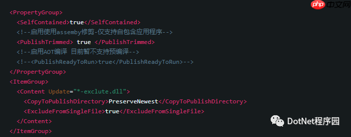 .NET5.0 单文件发布打包操作深度剖析
