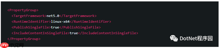 .NET5.0 单文件发布打包操作深度剖析