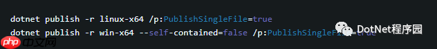.NET5.0 单文件发布打包操作深度剖析