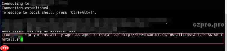 #Linux建站入门第三期#使用Linux面板进行建站