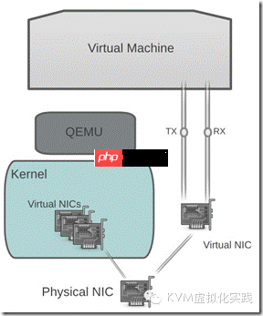 KVM虚拟化网络优化技术总结