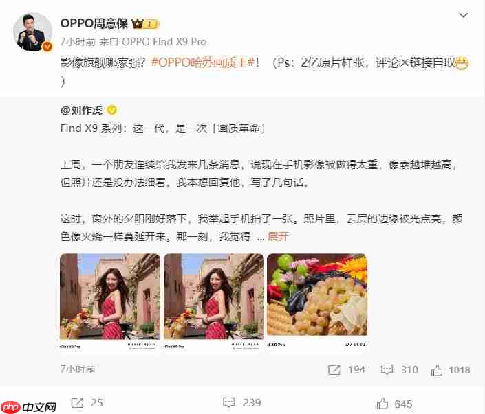 画质革命!OPPO Find X9系列释出2亿像素样张