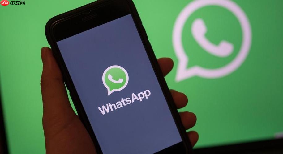 WhatsApp国际版免费使用-WhatsApp多语言版中文官网指南