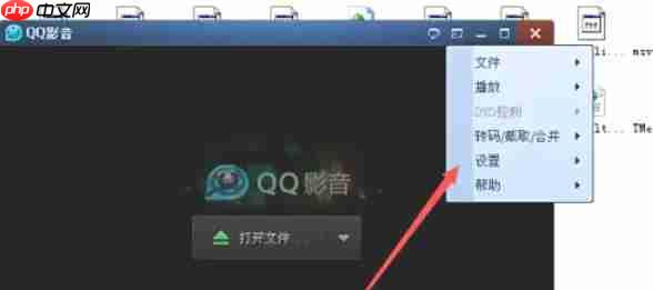 QQ影音怎么导入字幕-QQ影音设置导入字幕的方法