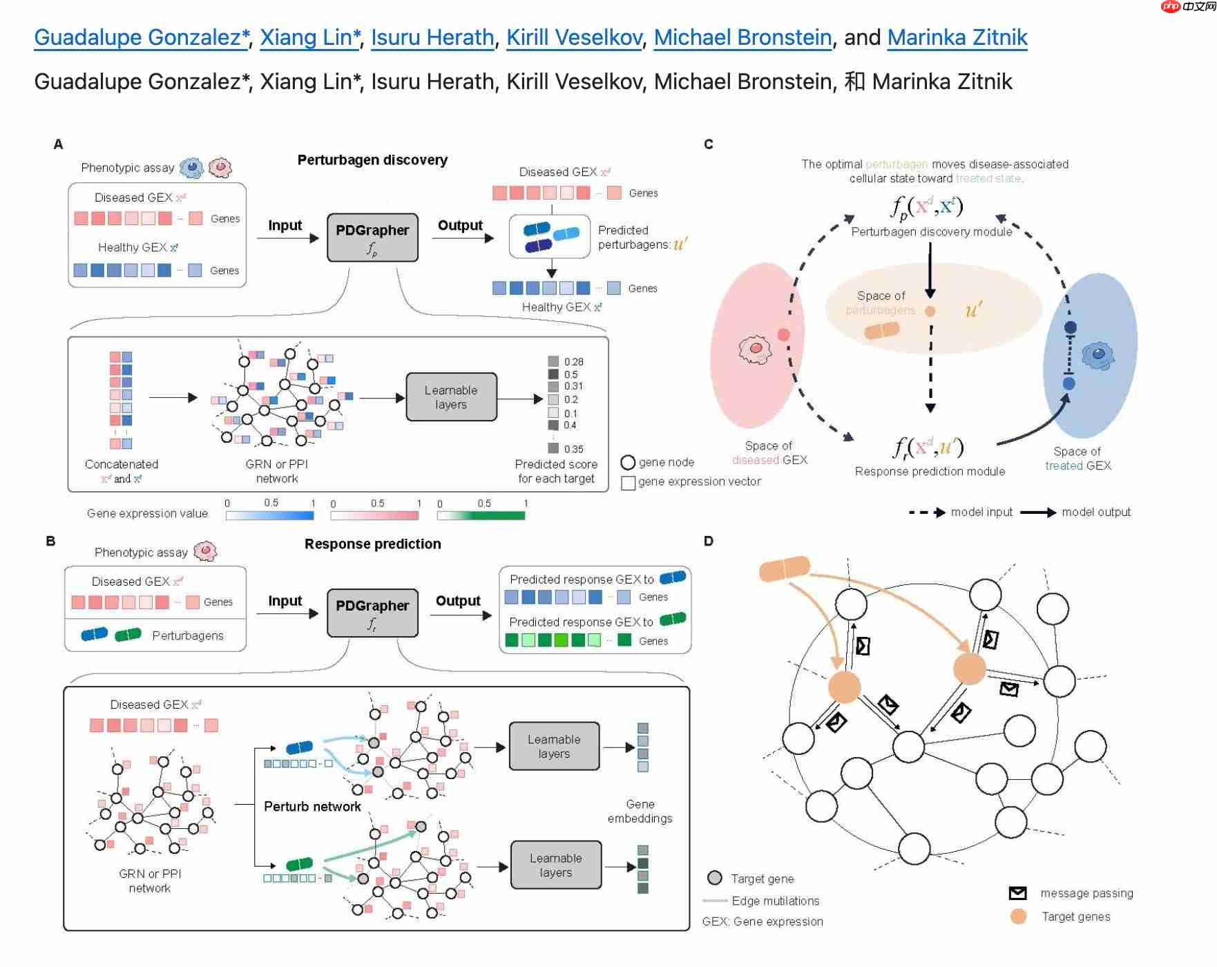 癌症、痴呆或被终结?哈佛AI 能治百病?