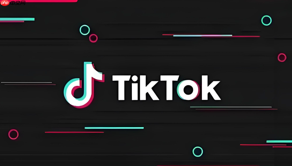 TikTok国际版官方入口在线 TikTok国际版便捷登录通道