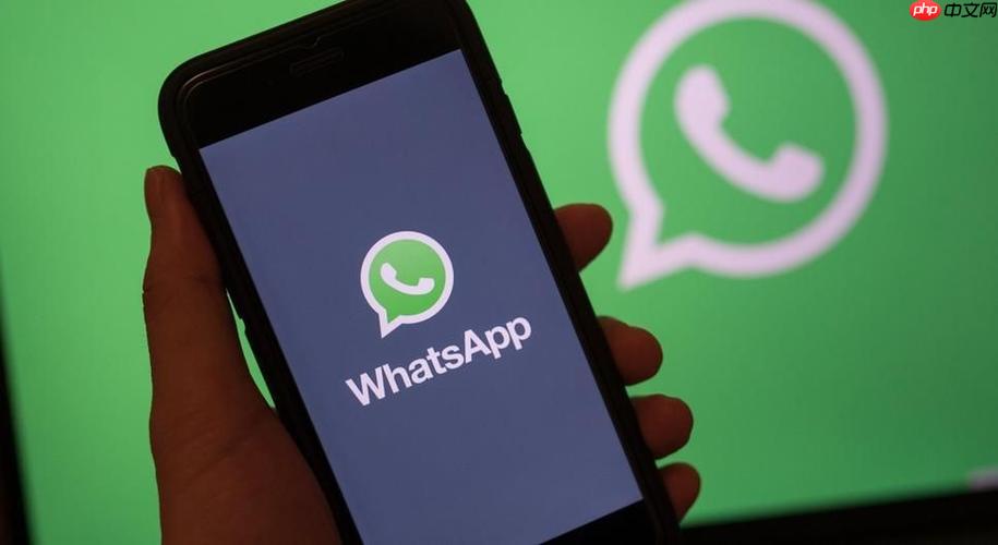 WhatsApp群组搜索 whatsapp群组怎么运营