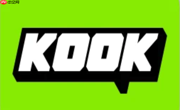 kook的notion插件如何安装_kook软件插件安装方法详述