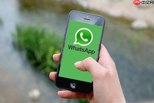 whatsapp状态功能更新入口-whatsapp动态分享中文官网指南