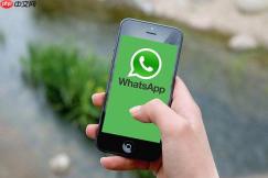 WhatsApp状态功能更新入口-WhatsApp动态分享中文官网指南