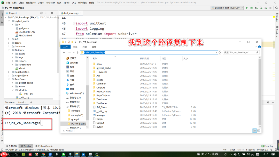 pytest与Allure集成