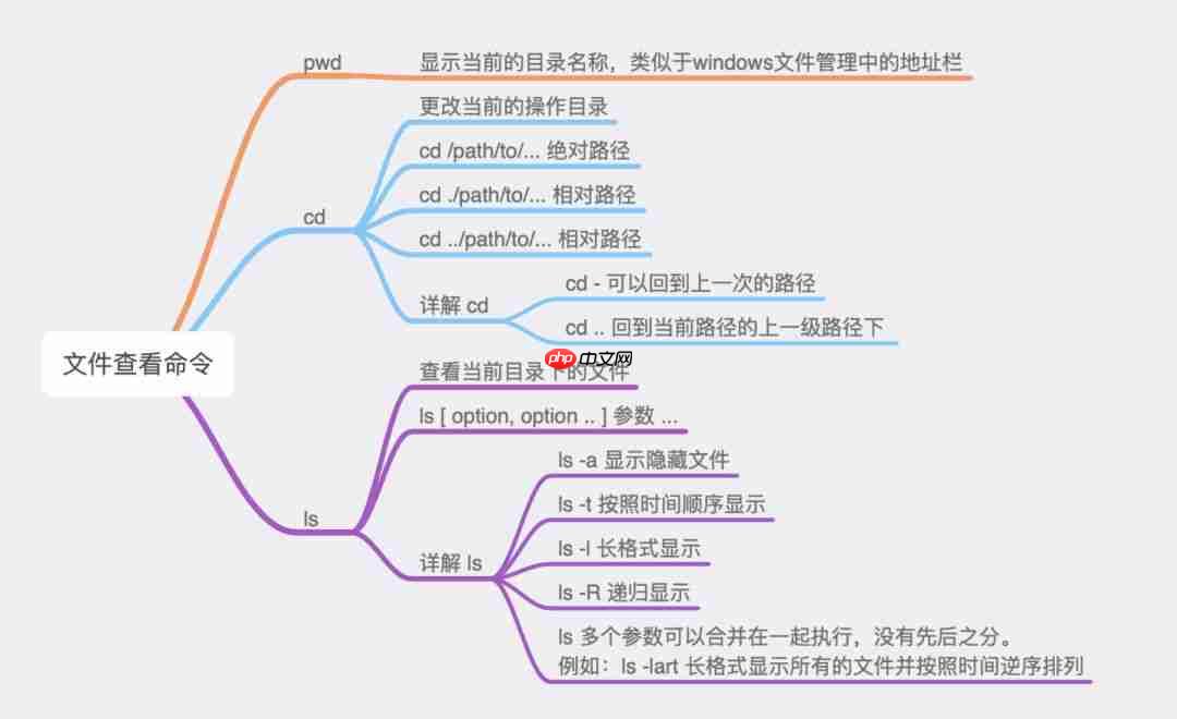 Linux | 文件查看与操作命令