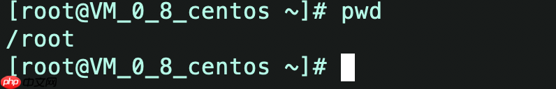Linux | 文件查看与操作命令