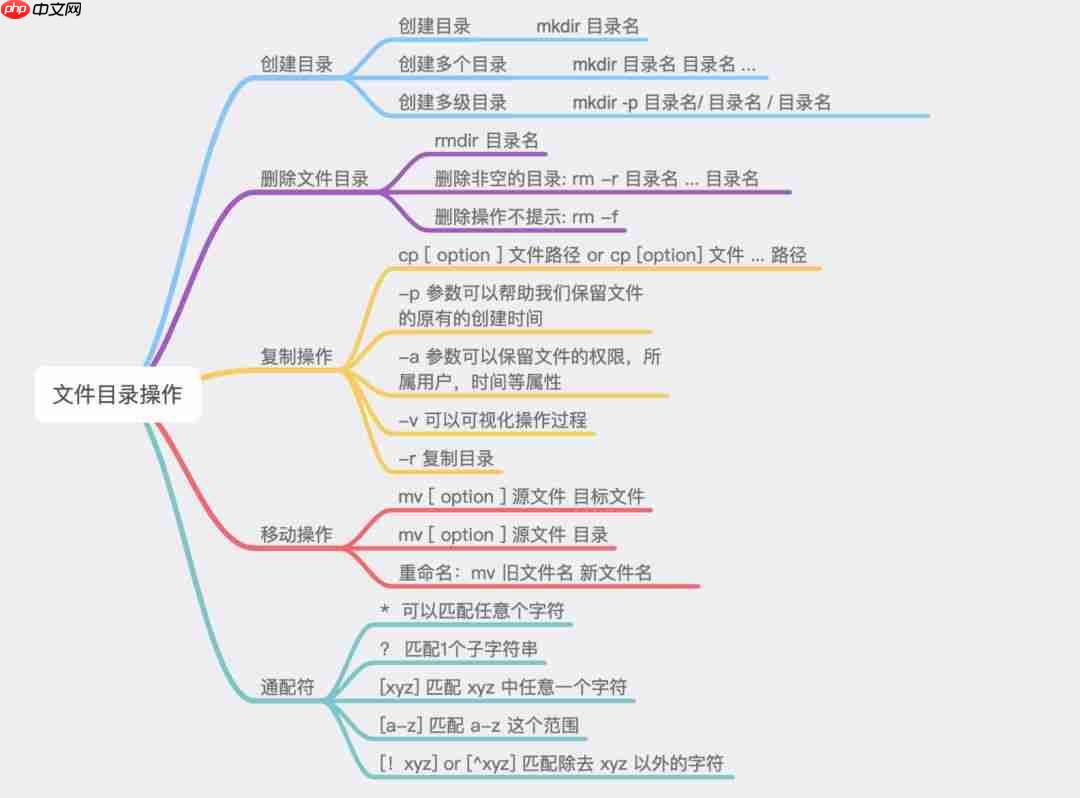 Linux | 文件查看与操作命令