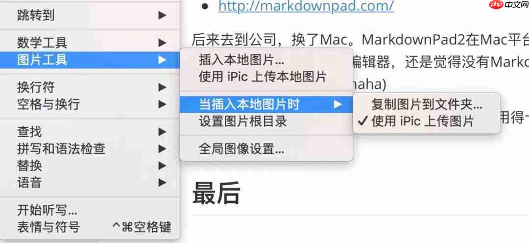 花了一天整理了一些我常用的工具