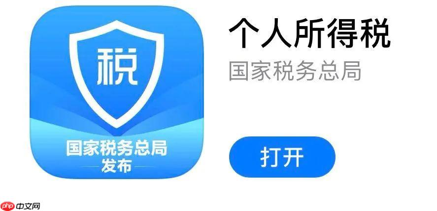 个人所得税app已纳税额怎么看_个人所得税APP已纳税额查看方法