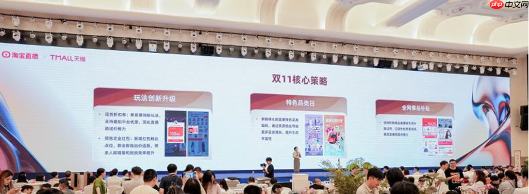 淘宝直播双11策略：投入30亿补贴爆品和店播激励 做大品牌增长