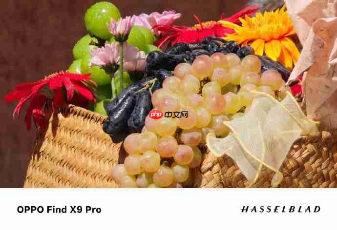 OPPO Find X9系列首创“哈苏8K超清照片”:从纸面像素到真实体验的跨越