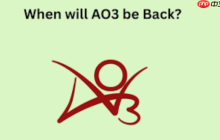 Archiveofownour国内用户登录指南_Archiveofownour中文界面一键进入