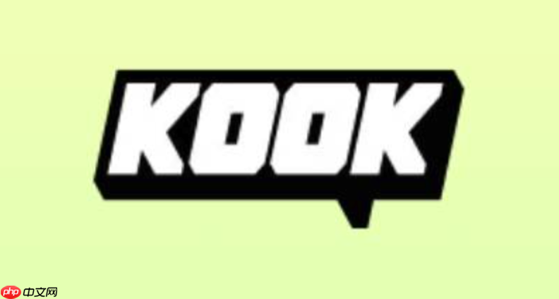 kook的teams插件如何安装_kook软件插件安装安装说明