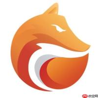 灵狐浏览器企业版专用入口2025-灵狐浏览器团队协作网页登录地址
